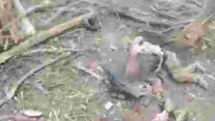 ССО знищили групу росіян, які прямували на Сумщину
