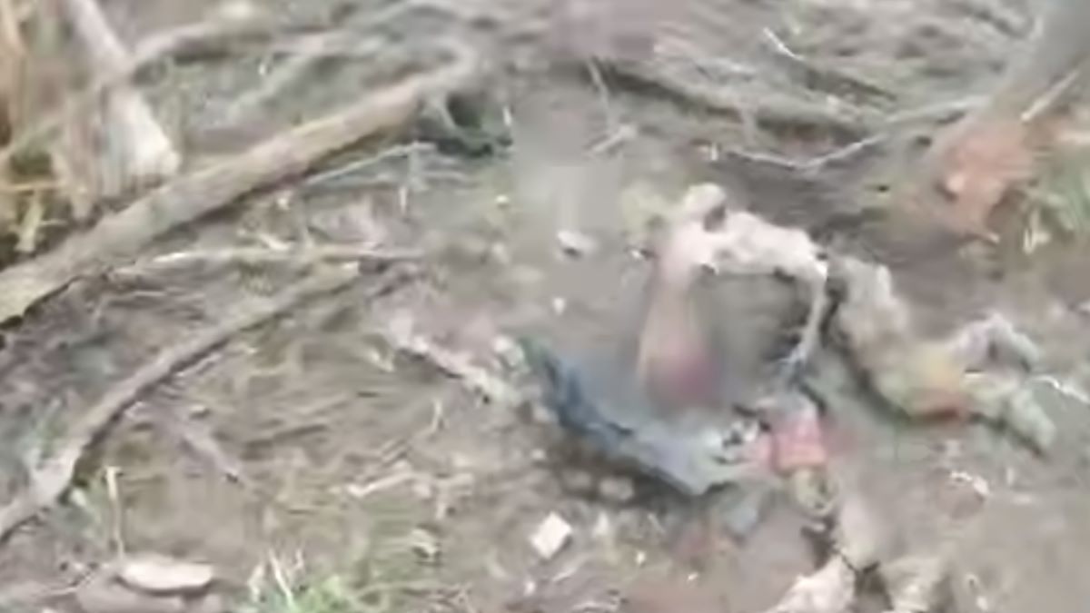 ССО знищили групу росіян, які прямували на Сумщину
