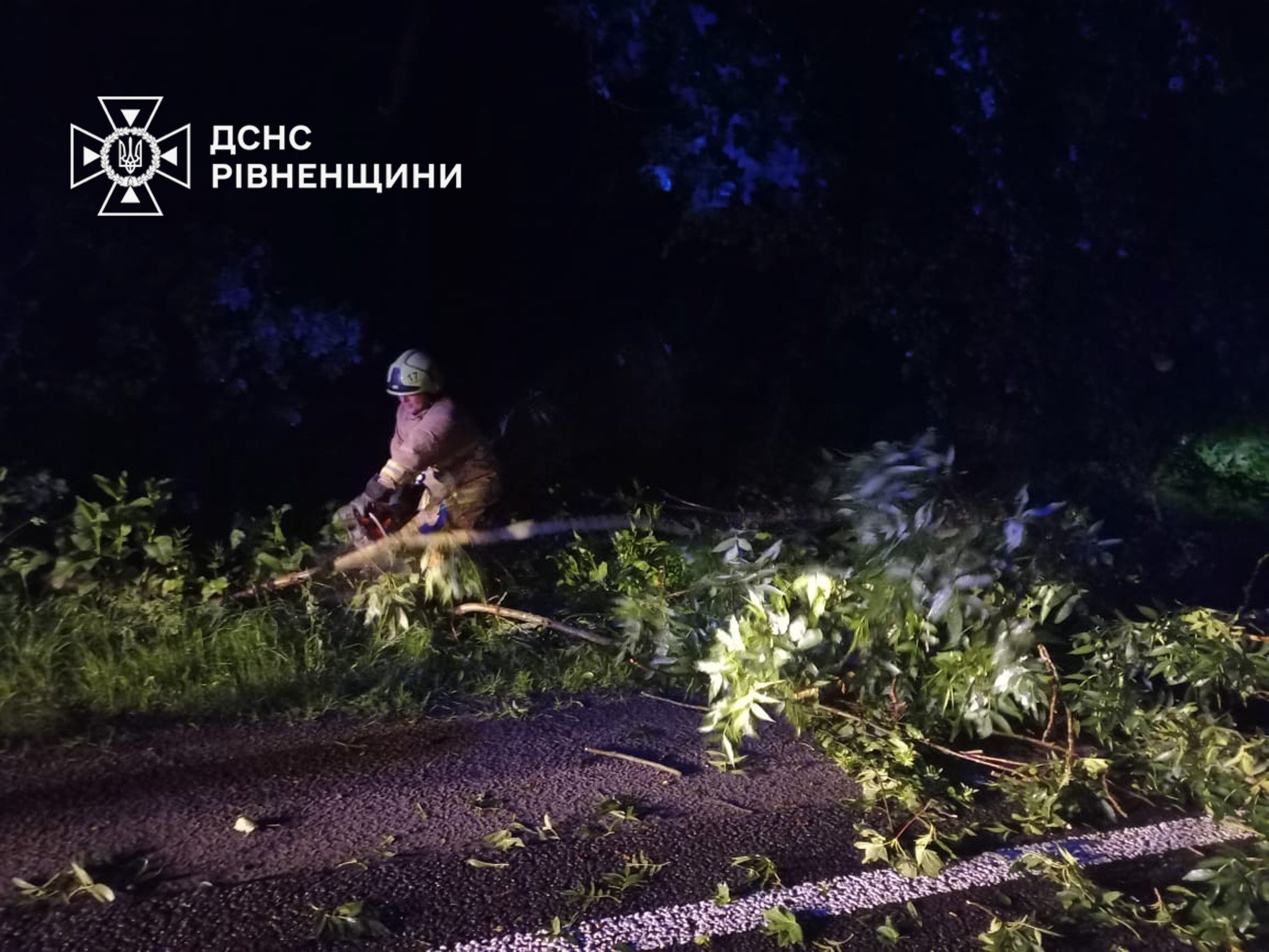 Повалені дерева перекрили рух транспорту на Рівненщині (фото ДСНС)