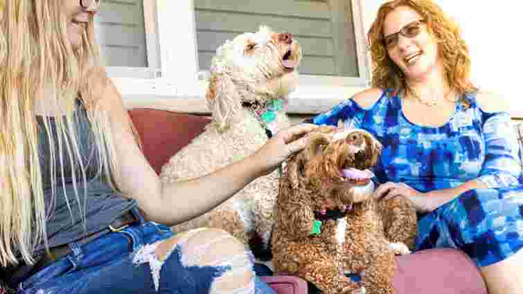 Спокійні друзі: найкращі породи собак для сімей з дітьми