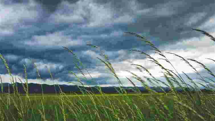На Тернопільщині через сильний вітер оголосили штормове попередження