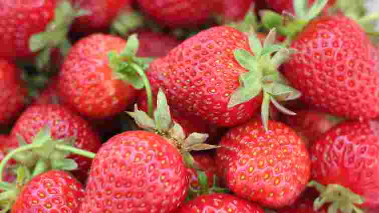 Як завжди купувати солодку полуницю: перевірений спосіб від експертів 