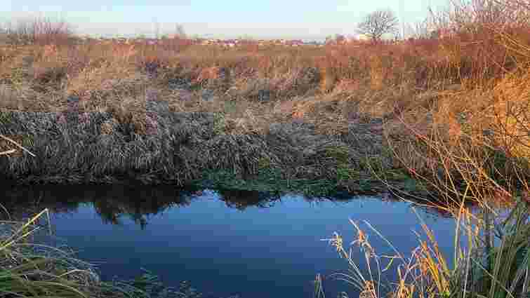 Історичне рішення для збереження природи Львова