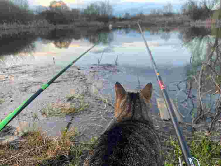 В Ужгороді навколо Чорних озер створять зону рекреації