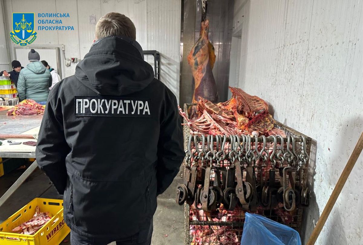 На Волині чотирьох посадовців судили за облаштування підпільної бійні тварин 