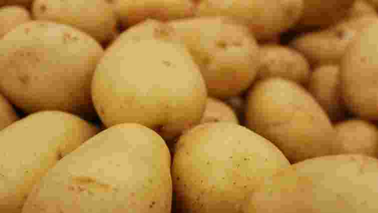 Навіщо замочувати молоду картоплю перед приготуванням: незвичний лайфхак 