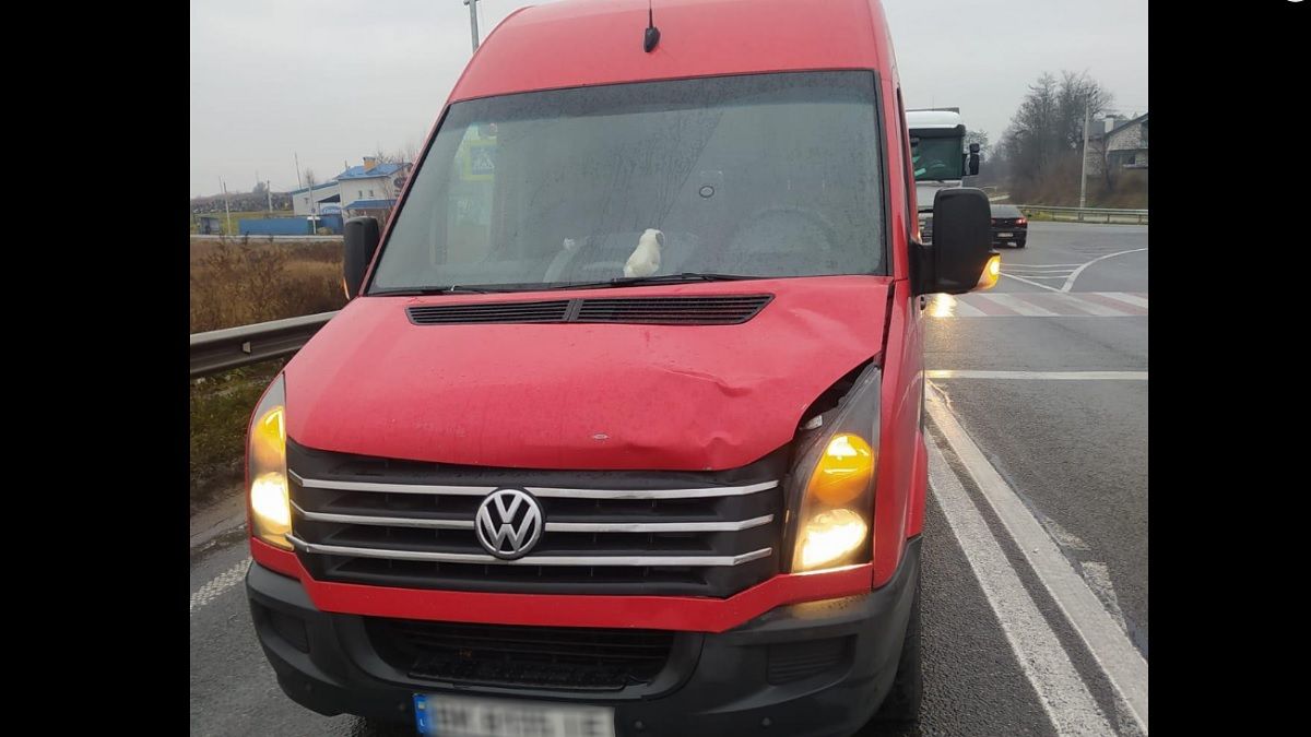 Водія мікроавтобуса покарали умовно за збитого на смерть пішохода біля Львова