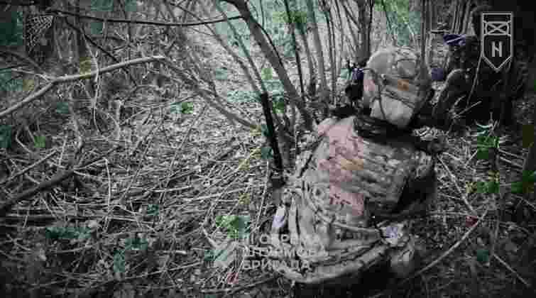 Третя штурмова бригада показала знищення взводу росіян на Донеччині