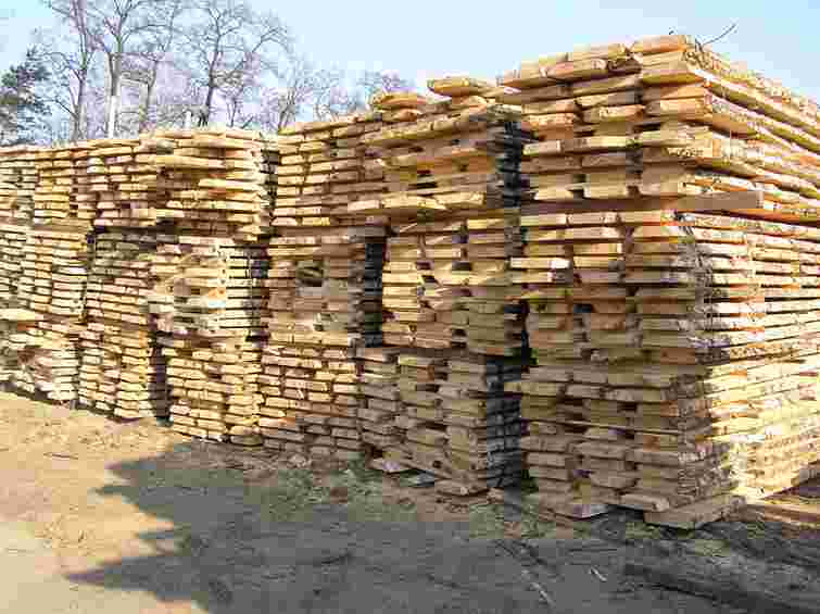 На Прикарпатті оголосили підозру директору агролісгоспу за збитки у 2 млн грн