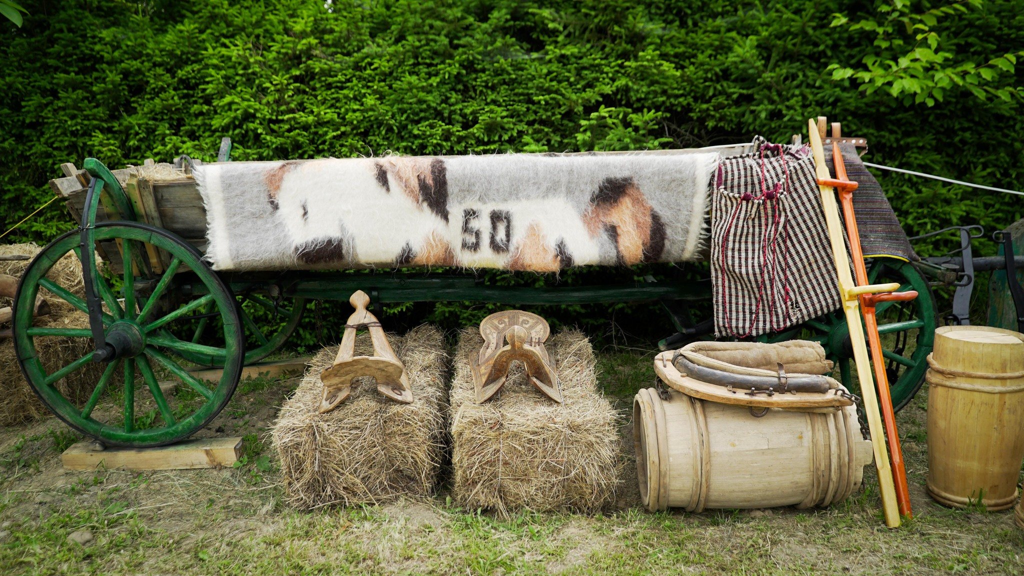 фото Юрія Павлишинця