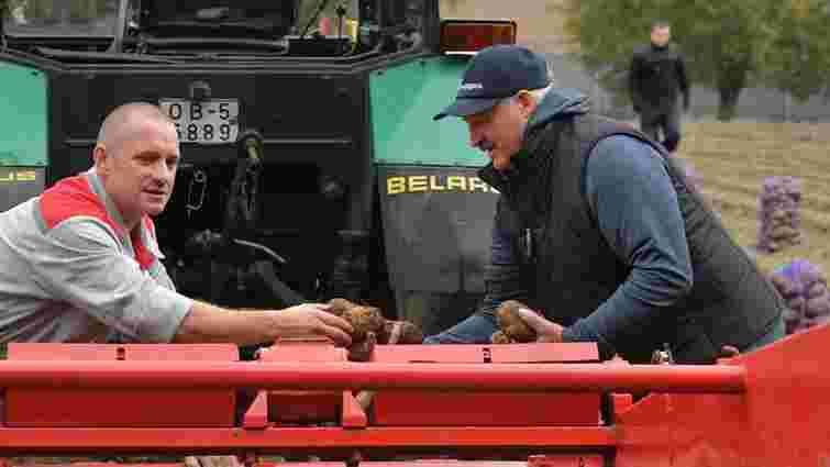 У Білорусі через дії режиму Лукашенка виникла картопляна криза