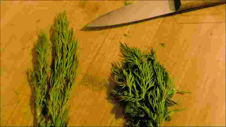 Не зав'яне і не потемніє: як довго зберігати кріп та петрушку в холодильнику