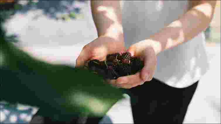 Одяг ще можна врятувати: як відіпрати плями шовковиці без спеціальних хімікатів