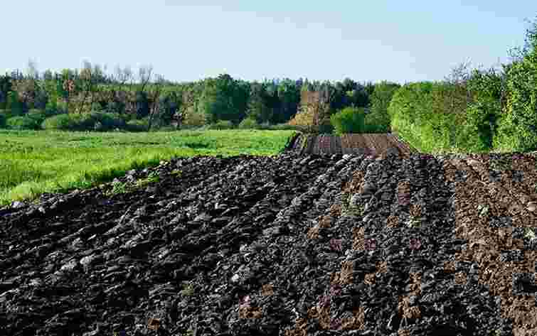 Суд позбавив львівського підприємця 29 га землі біля Буська через нецільове використання