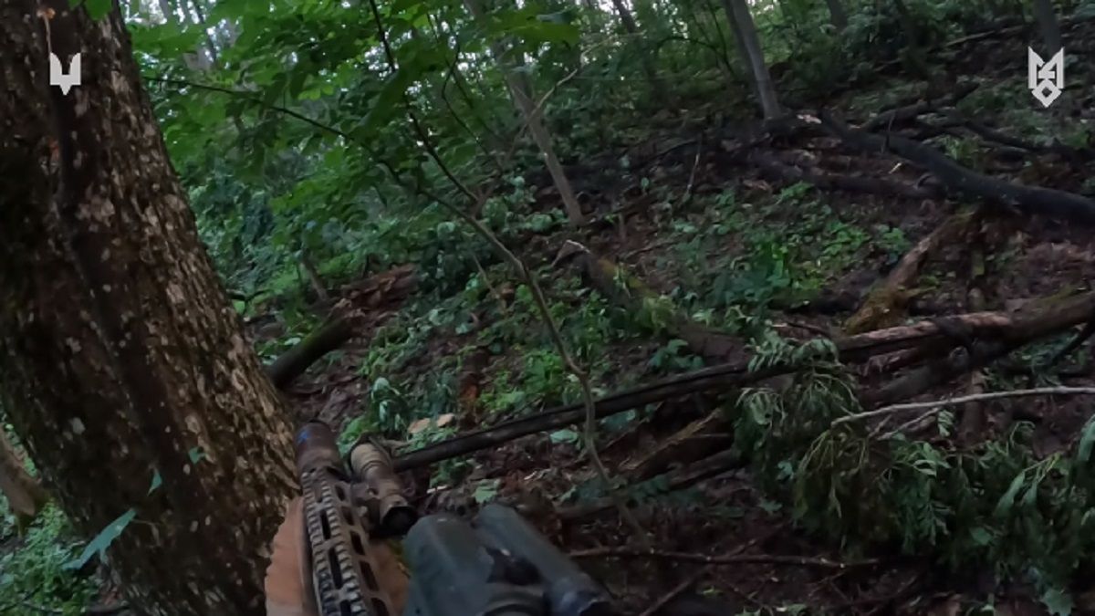 Бійці ССО показали ліквідацію групи окупантів на кордоні з Росією