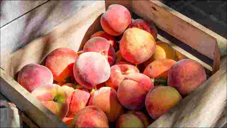 Як правильно мити персики, щоб позбутися всіх бактерій і пестицидів: прості способи