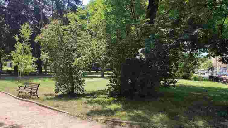 У Львові створять перший в Україні науковий центр зі збереження старовікових дерев