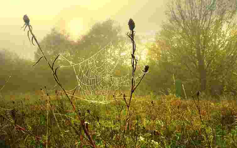 У Львові зафіксували рекорд мінімальної температури повітря за понад 50 років