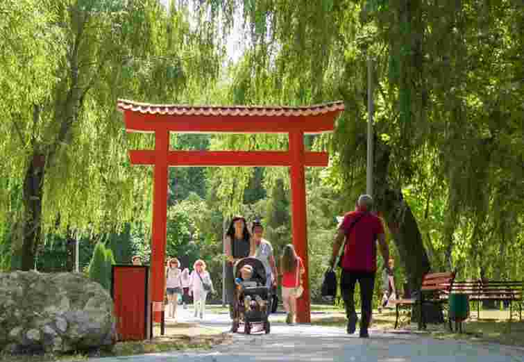 У Тернополі відкрили терапевтичний японський сад 