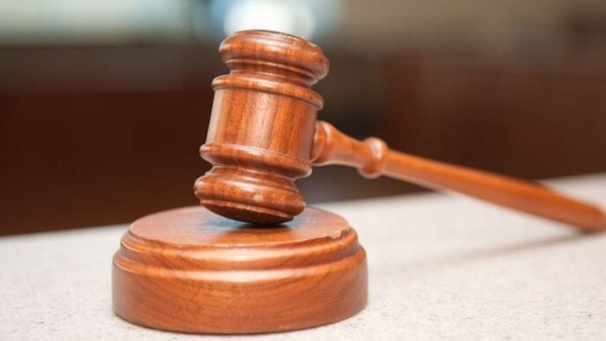Суд оштрафував закарпатця за побиття коня у Буковелі