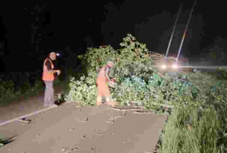 На Тернопільщині через негоду знеструмлено понад 8000 абонентів