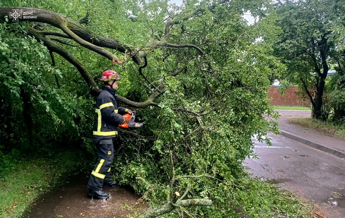Повалені дерева перекрили рух транспорту на Волині (фото ДСНС)