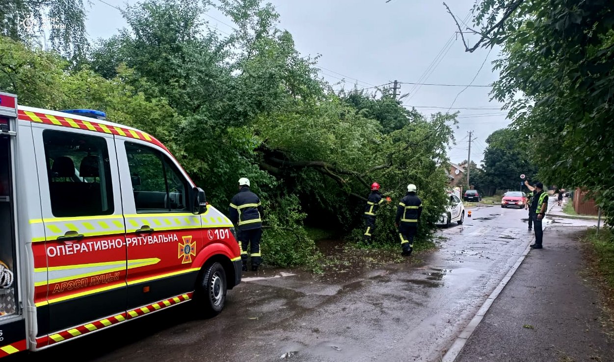 Повалені дерева перекрили рух транспорту на Волині (фото ДСНС)