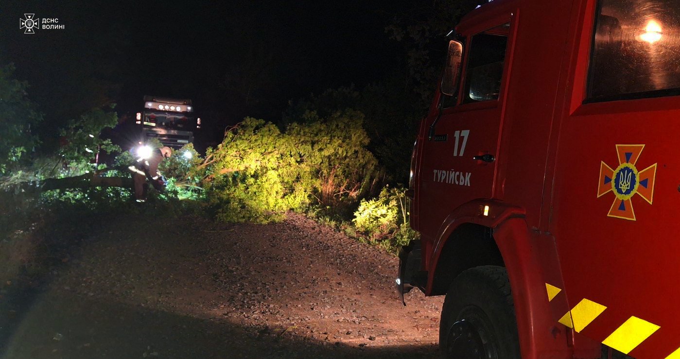Повалені дерева перекрили рух транспорту на Волині (фото ДСНС)