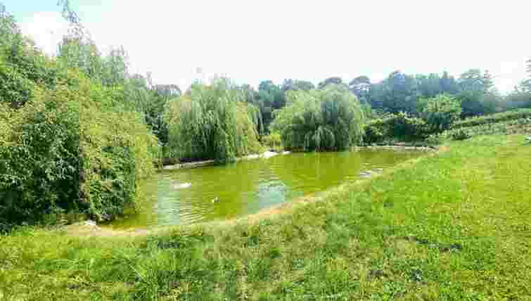 На Тернопільщині медики реанімували трирічного хлопчика після падіння в сусідський ставок