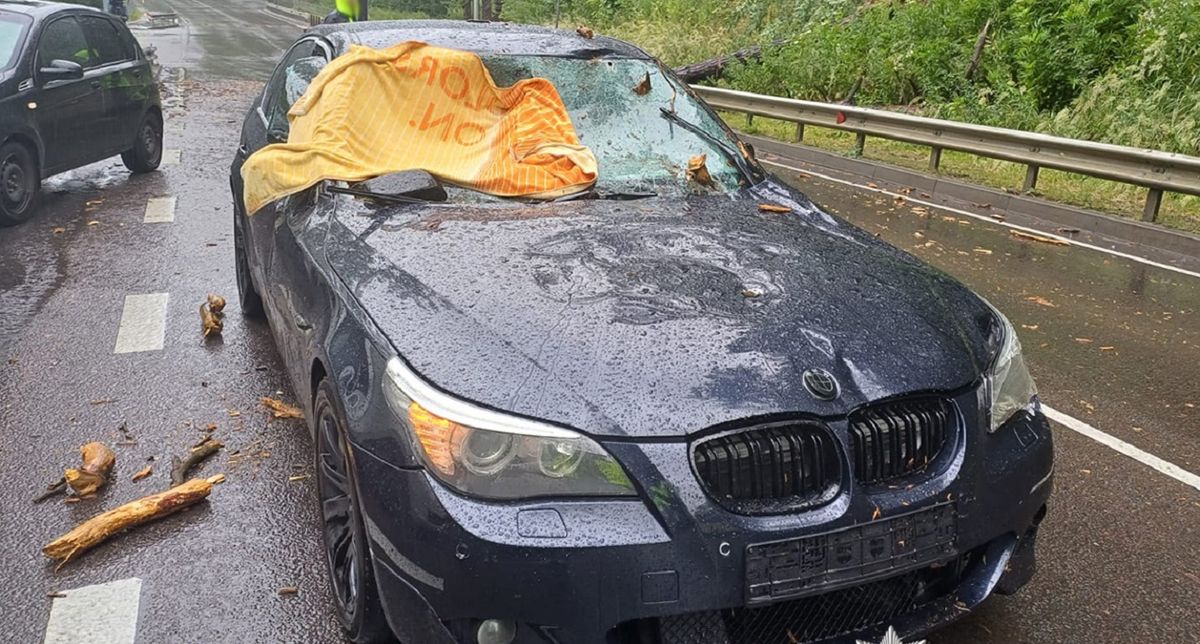 17-річна дівчина постраждала через падіння дерева на BMW біля Львова