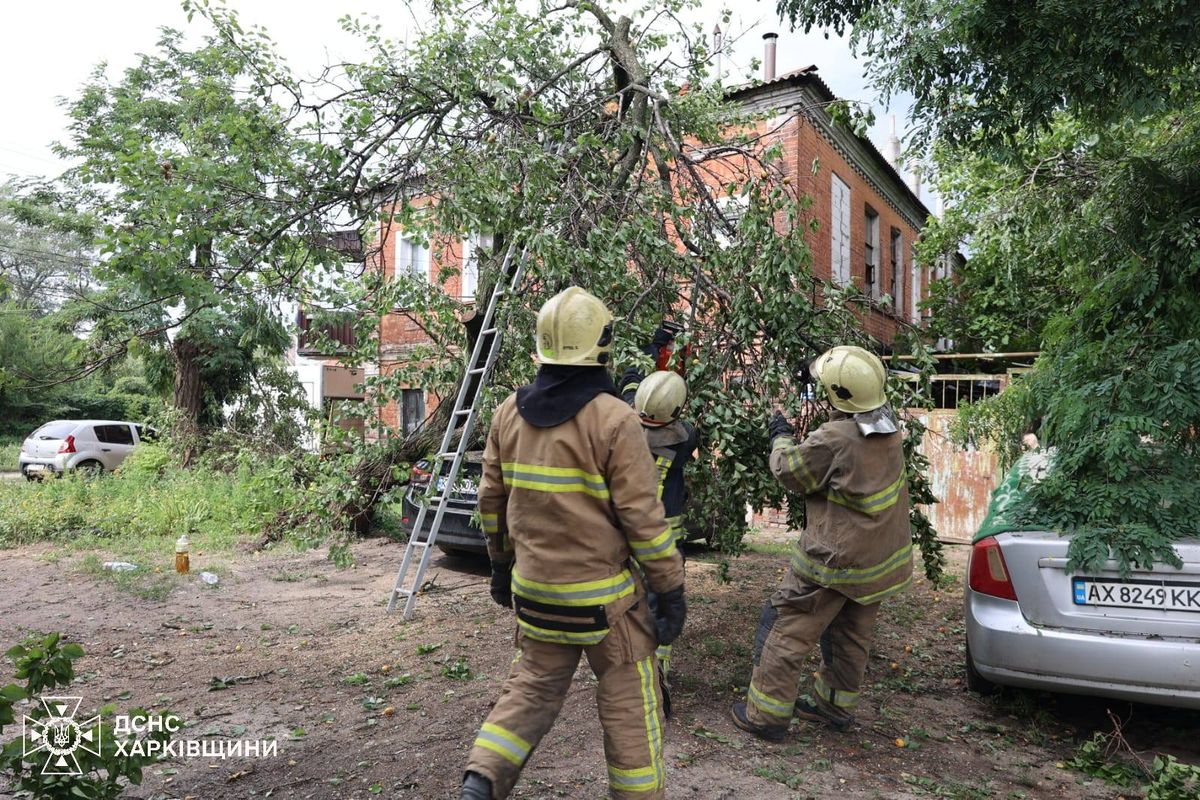 На Харківщині через негоду загинула 56-річна жінка 
