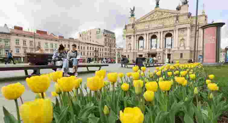 Новий правопис чи помилка: як правильно казати – «їду до Львова» чи «до Львову»