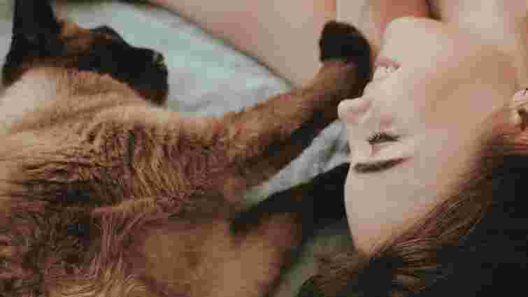 Він не робить вам масаж: навіщо кіт топче господаря лапками