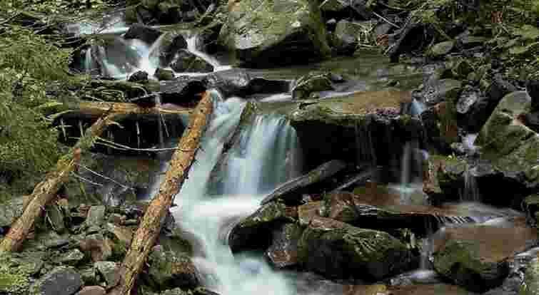 Причиною отруєння 10 дітей, що їхали із Закарпаття до Вінниці, стала сальмонела