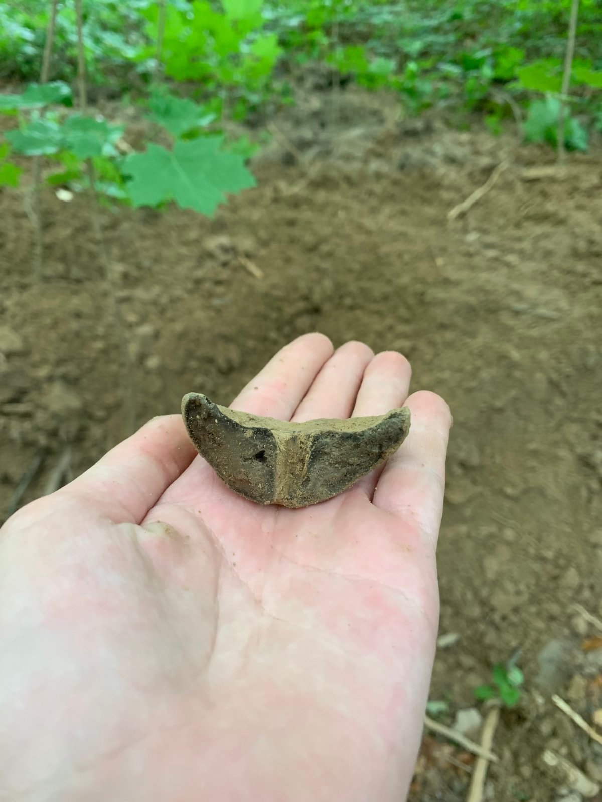 Частина глиняного посуду