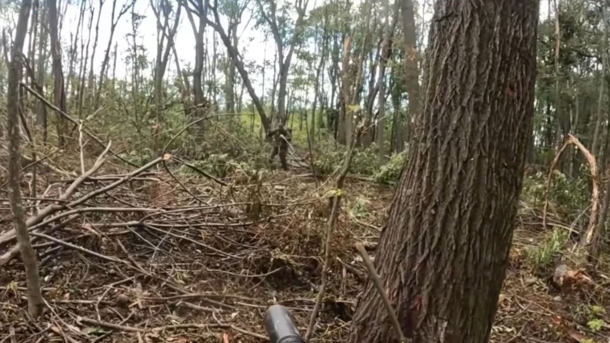 Бійці ССО показали успішну операцію в тилу росіян