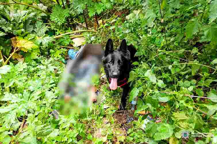 Мешканця Рівненщини підозрюють у вбивстві рідного брата