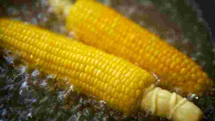 Кукурудза буде ідеальною: як її правильно варити, щоб зернята були максимально соковиті Кукурудза буде ідеальною: як її правильно варити, щоб зернята були максимально соковиті