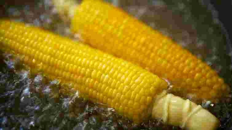 Кукурудза буде ідеальною: як її правильно варити, щоб зернята були максимально соковиті