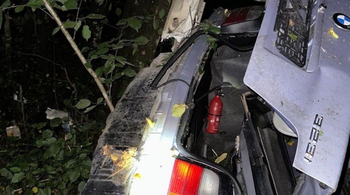 Біля Франківська водій BMW в’їхав у дерево і загинув на місці