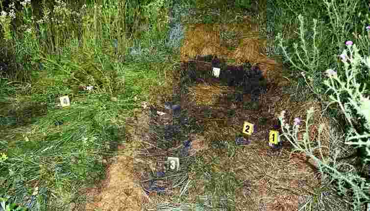 На Тернопільщині жінка через ревнощі підпалила суперницю