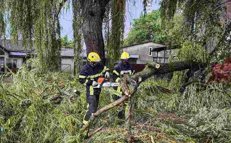На Буковині через негоду без електрики залишилися 25 тисяч споживачів