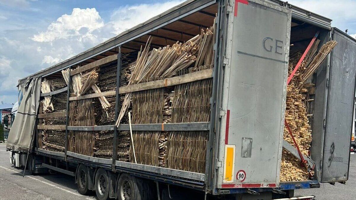 Мешканка Львівщини нелегально вивозила деревину в Польщу