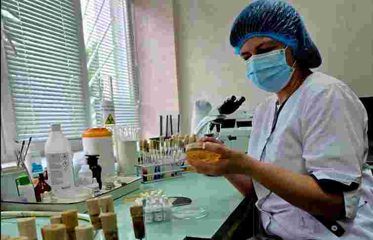 На Рівненщині зафіксували спалах сальмонельозу