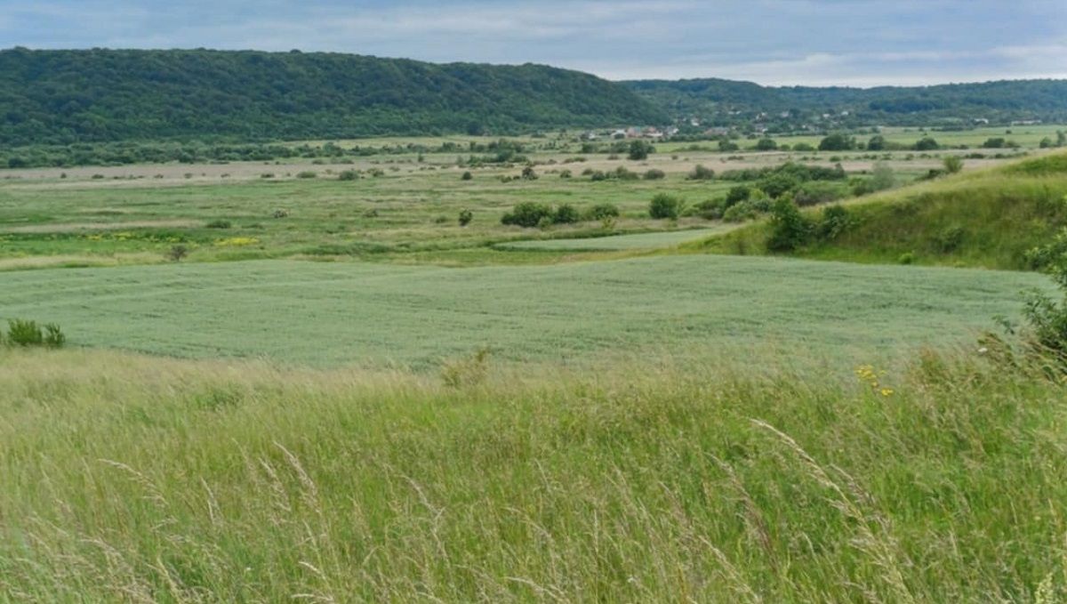 Невідомі фермери захопили 100 га в селах Львівської громади