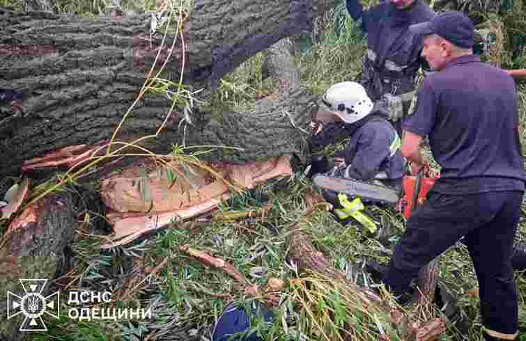 На Одещині під час грози на намет із підлітками впало дерево, загинув 15-річний хлопець