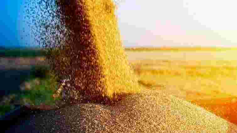 Польські перевізники зазнають збитків через відсутність українського зерна