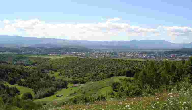 На Закарпатті мешканці села стали власниками 5 га землі через аферу держреєстраторки