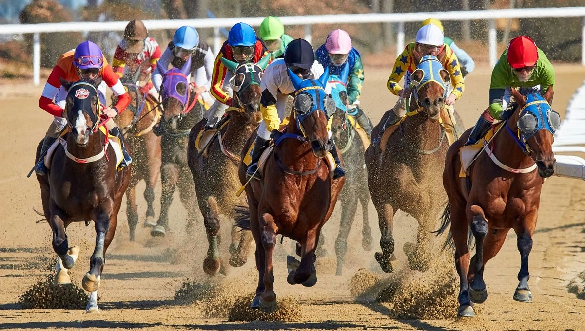Сокільники, don’t push the horses