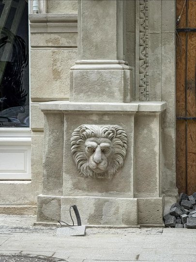 фото Олени Кондратюк